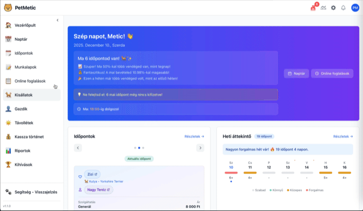 Új kisállat rögzítése macskával